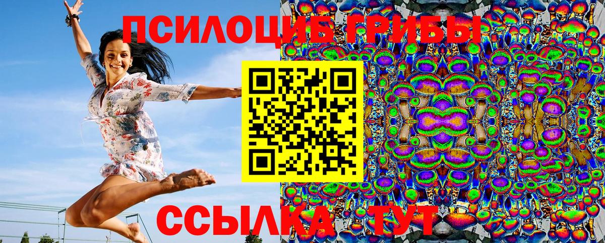 Ленинск-Кузнецкий  Галлюциногенные грибы MAGIC MUSHROOMS  Вход с VPN 